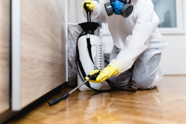 Best Pest Prevention Services  in Sussex, NJ