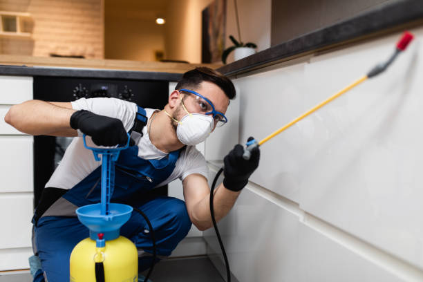 Best Insect Control  in Sussex, NJ
