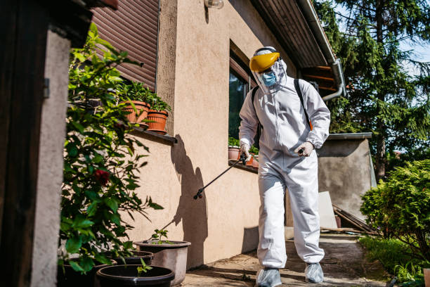 Best Best Pest Control Companies  in Sussex, NJ