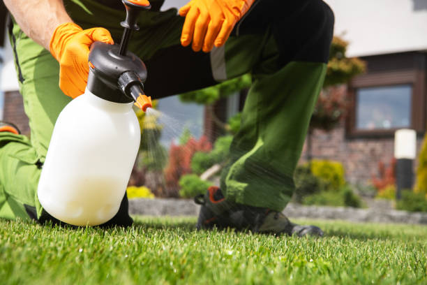 Best Emergency Pest Control  in Sussex, NJ