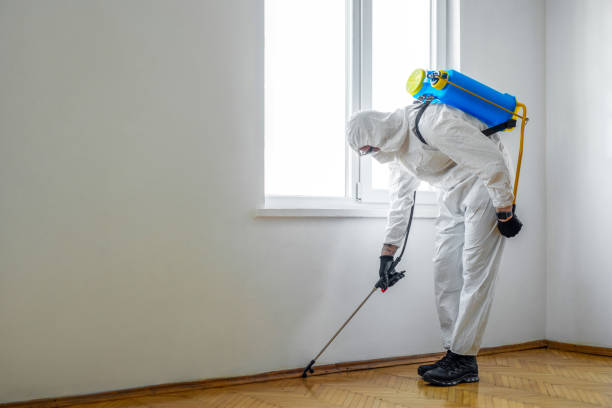 Best Flea Control Services  in Sussex, NJ