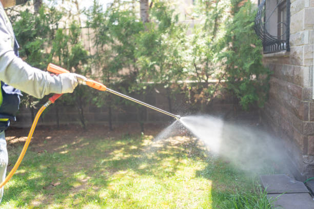 Best Affordable Pest Control Services  in Sussex, NJ