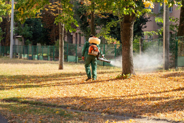 Best Cockroach Control Services  in Sussex, NJ