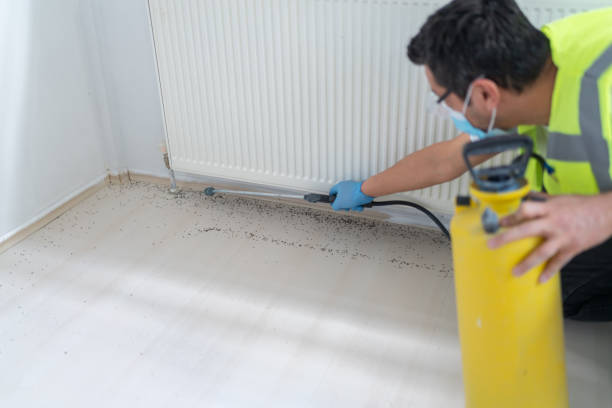 Best Cockroach Control Services  in Sussex, NJ