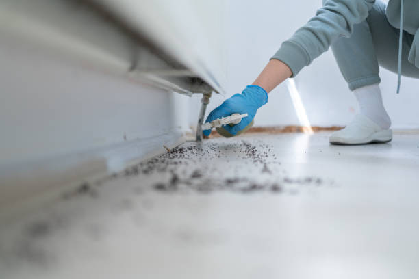Pest Prevention Services in Sussex, NJ
